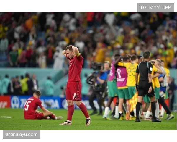 世界杯E组收官焦点：德国输球仍以净胜球排名第一